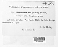 Image Associated With the Occurence